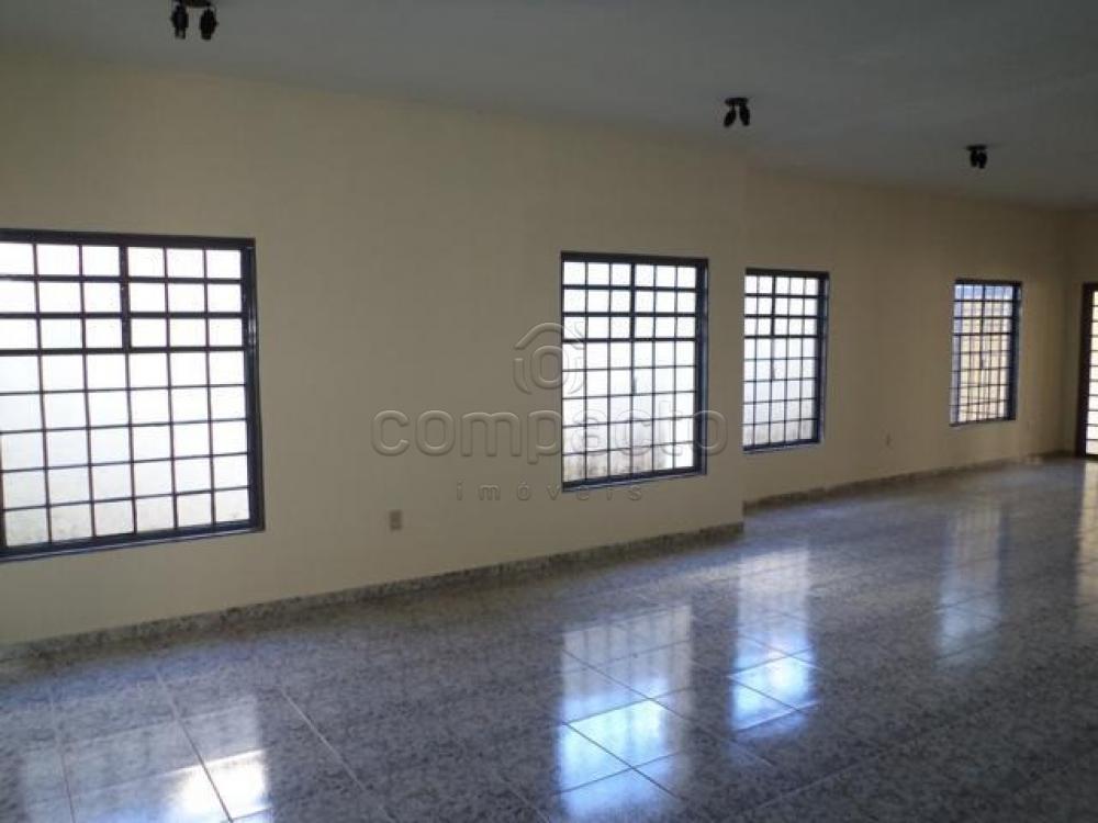 Alugar Casa / Padrão em São José do Rio Preto apenas R$ 3.500,00 - Foto 6 Alugar Casa / Padrão em São José do Rio Preto apenas R$ 3.500,00 - Foto 6