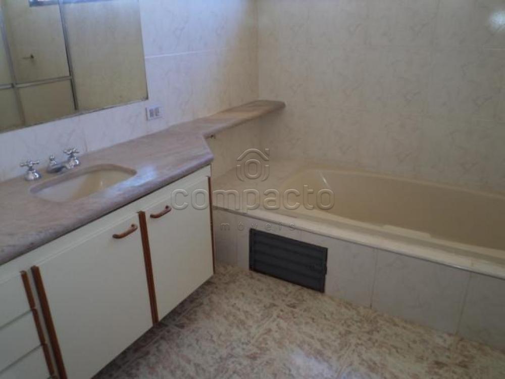 Alugar Casa / Padrão em São José do Rio Preto apenas R$ 3.500,00 - Foto 9 Alugar Casa / Padrão em São José do Rio Preto apenas R$ 3.500,00 - Foto 9