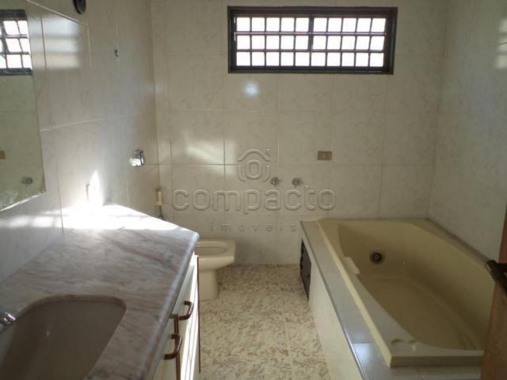 Alugar Casa / Padrão em São José do Rio Preto apenas R$ 3.500,00 - Foto 12 Alugar Casa / Padrão em São José do Rio Preto apenas R$ 3.500,00 - Foto 12
