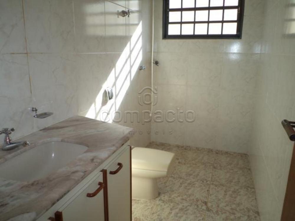 Alugar Casa / Padrão em São José do Rio Preto apenas R$ 3.500,00 - Foto 14 Alugar Casa / Padrão em São José do Rio Preto apenas R$ 3.500,00 - Foto 14