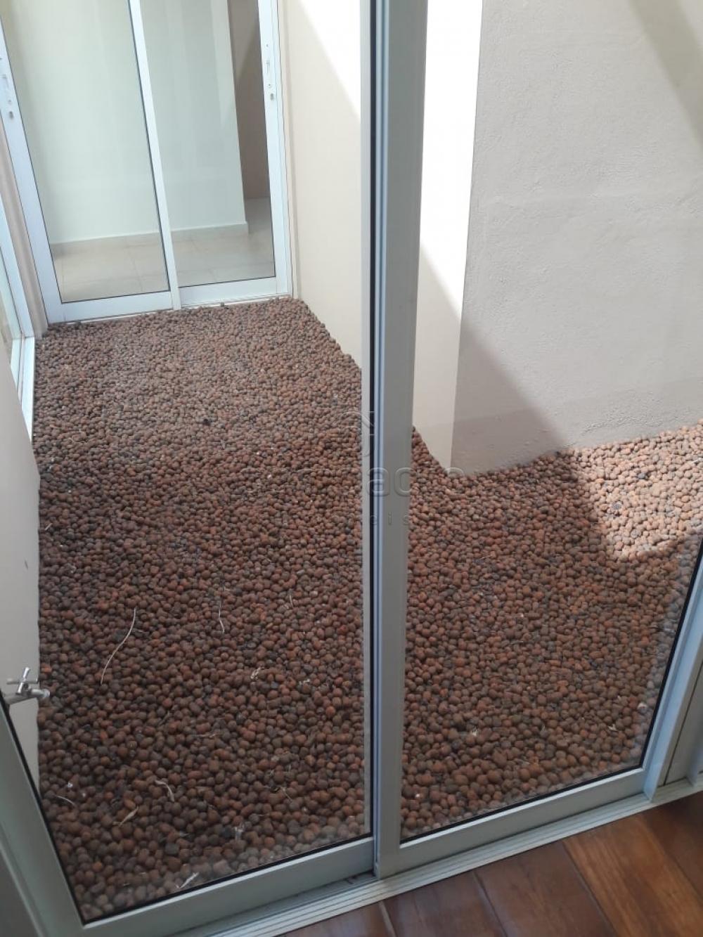 Alugar Casa / Condomínio em São José do Rio Preto apenas R$ 4.500,00 - Foto 4 Alugar Casa / Condomínio em São José do Rio Preto apenas R$ 4.500,00 - Foto 4