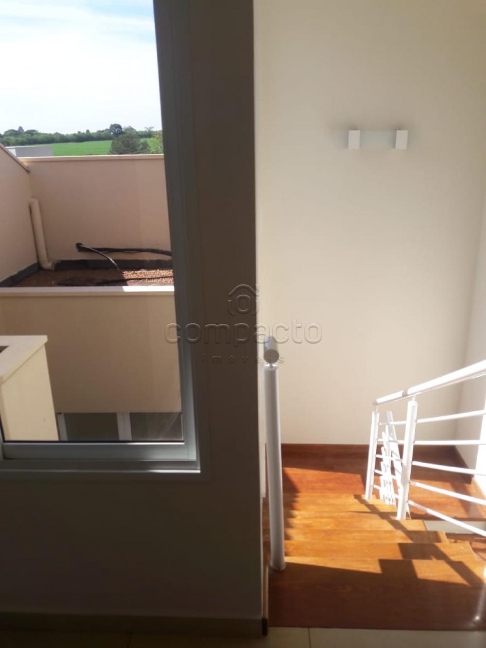 Alugar Casa / Condomínio em São José do Rio Preto apenas R$ 4.500,00 - Foto 9 Alugar Casa / Condomínio em São José do Rio Preto apenas R$ 4.500,00 - Foto 9
