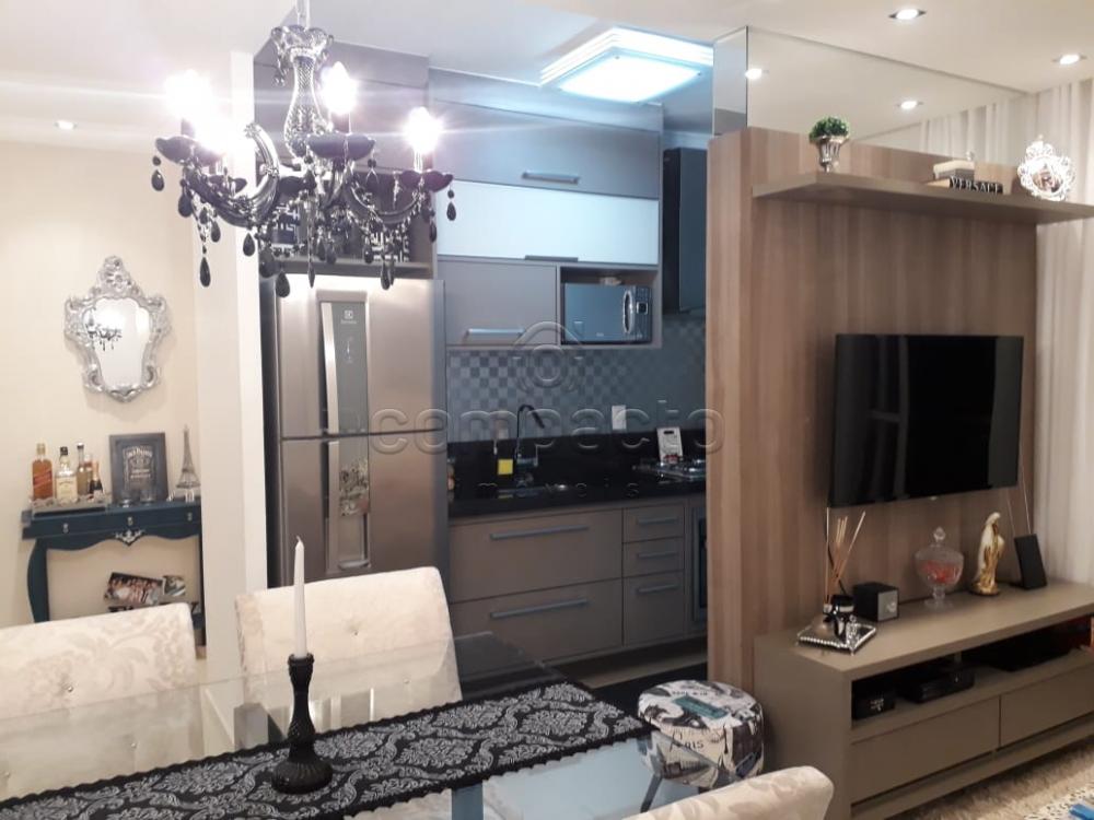 Comprar Apartamento / Padrão em São José do Rio Preto apenas R$ 235.000,00 - Foto 3 Comprar Apartamento / Padrão em São José do Rio Preto apenas R$ 235.000,00 - Foto 3