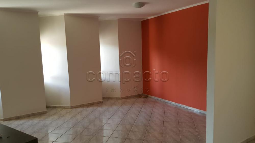 Comprar Casa / Padrão em São José do Rio Preto apenas R$ 550.000,00 - Foto 4 Comprar Casa / Padrão em São José do Rio Preto apenas R$ 550.000,00 - Foto 4