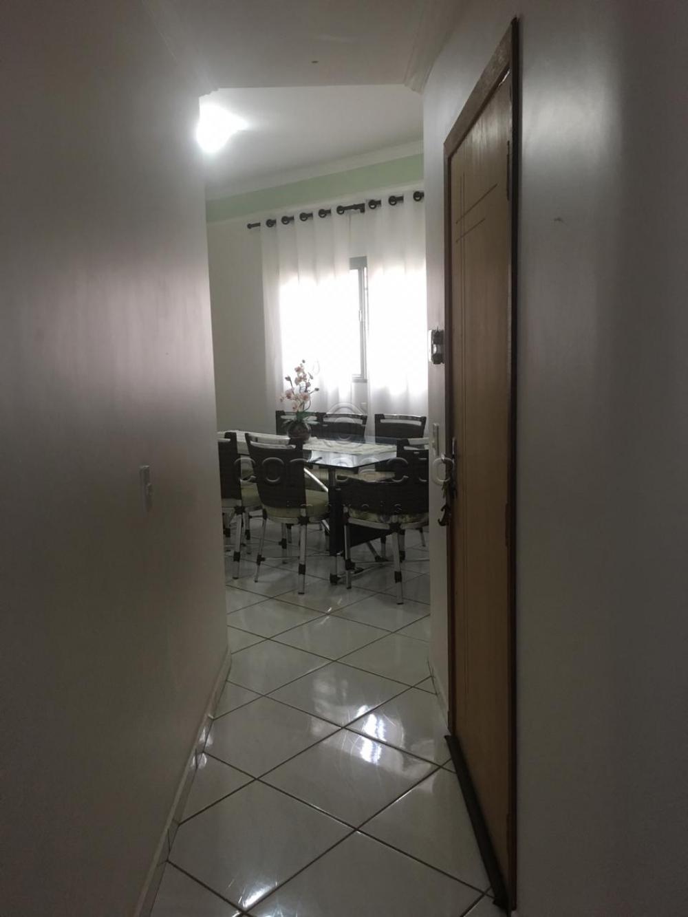 Comprar Casa / Padrão em São José do Rio Preto apenas R$ 350.000,00 - Foto 7 Comprar Casa / Padrão em São José do Rio Preto apenas R$ 350.000,00 - Foto 7