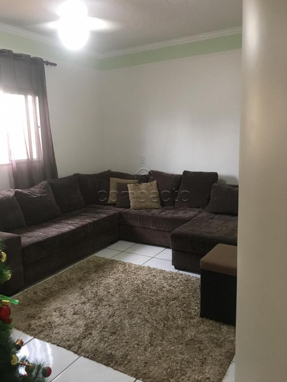 Comprar Casa / Padrão em São José do Rio Preto apenas R$ 350.000,00 - Foto 2 Comprar Casa / Padrão em São José do Rio Preto apenas R$ 350.000,00 - Foto 2