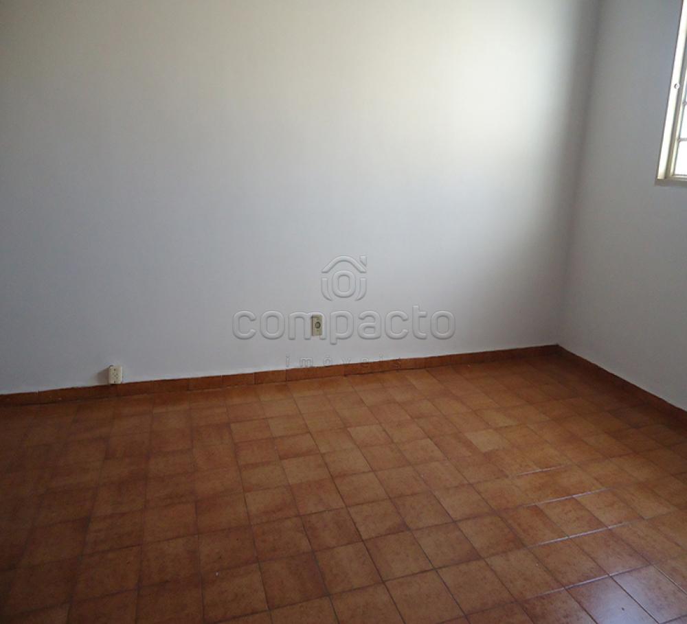 Alugar Apartamento / Padrão em São José do Rio Preto apenas R$ 700,00 - Foto 2 Alugar Apartamento / Padrão em São José do Rio Preto apenas R$ 700,00 - Foto 2