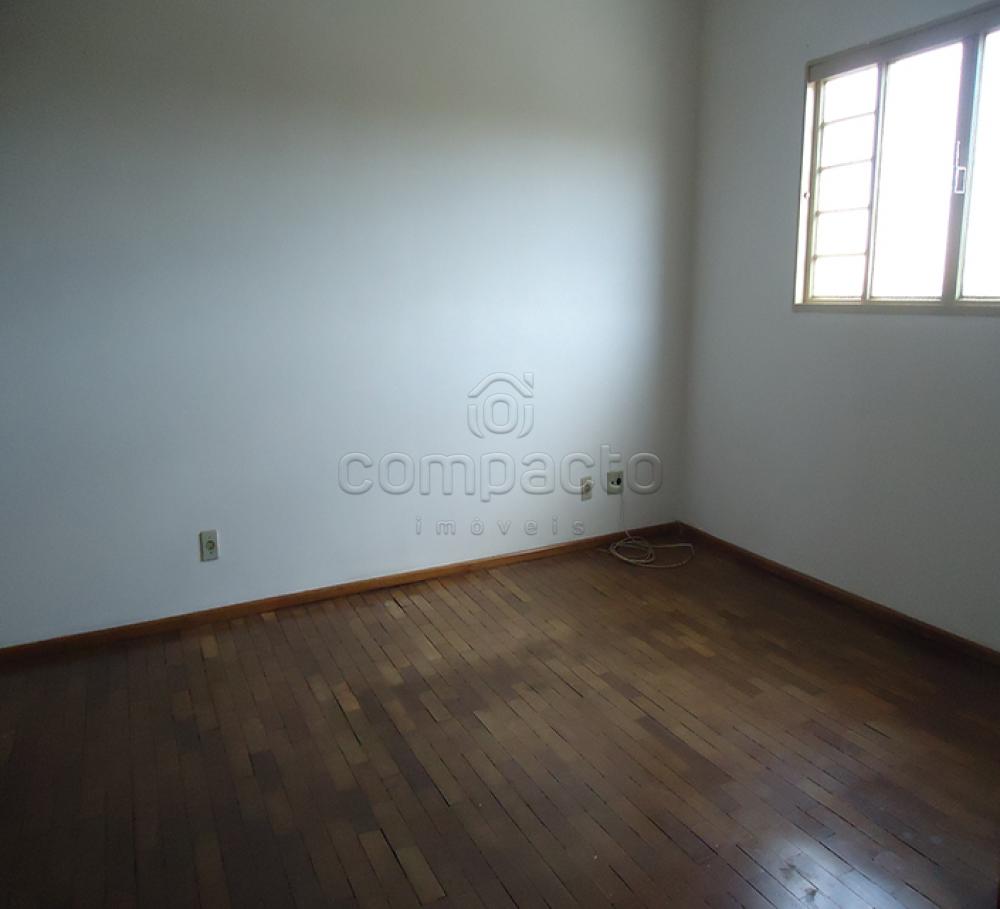 Alugar Apartamento / Padrão em São José do Rio Preto apenas R$ 700,00 - Foto 3 Alugar Apartamento / Padrão em São José do Rio Preto apenas R$ 700,00 - Foto 3