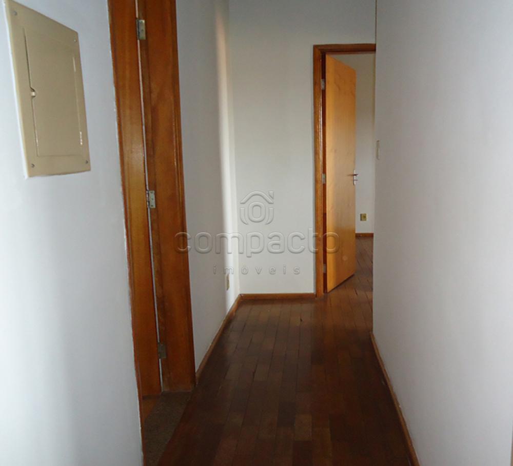 Alugar Apartamento / Padrão em São José do Rio Preto apenas R$ 700,00 - Foto 4 Alugar Apartamento / Padrão em São José do Rio Preto apenas R$ 700,00 - Foto 4