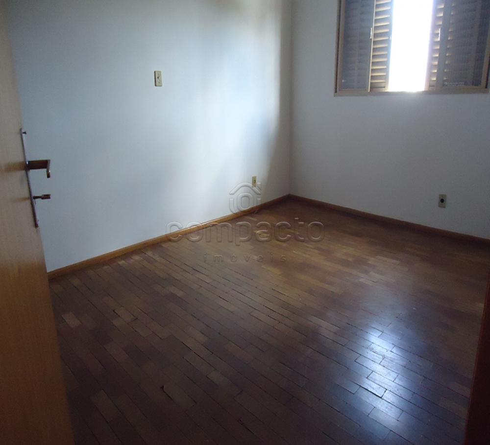 Alugar Apartamento / Padrão em São José do Rio Preto apenas R$ 700,00 - Foto 5 Alugar Apartamento / Padrão em São José do Rio Preto apenas R$ 700,00 - Foto 5