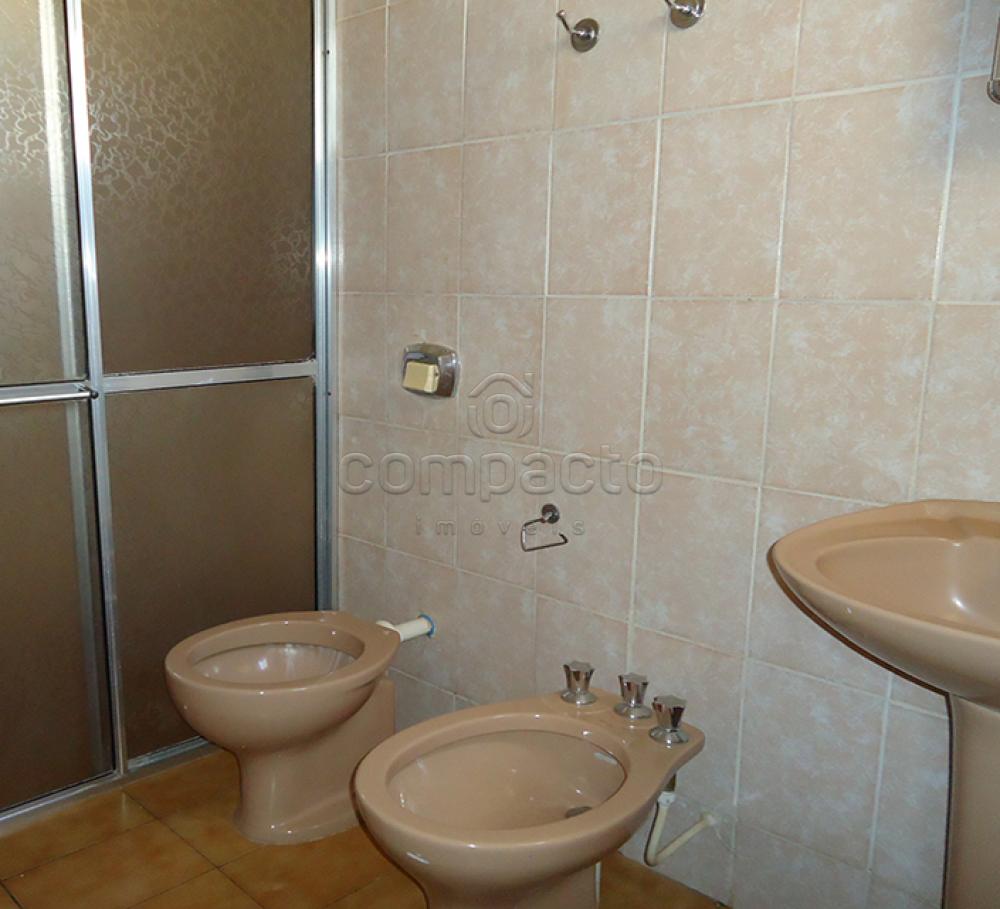 Alugar Apartamento / Padrão em São José do Rio Preto apenas R$ 700,00 - Foto 7 Alugar Apartamento / Padrão em São José do Rio Preto apenas R$ 700,00 - Foto 7