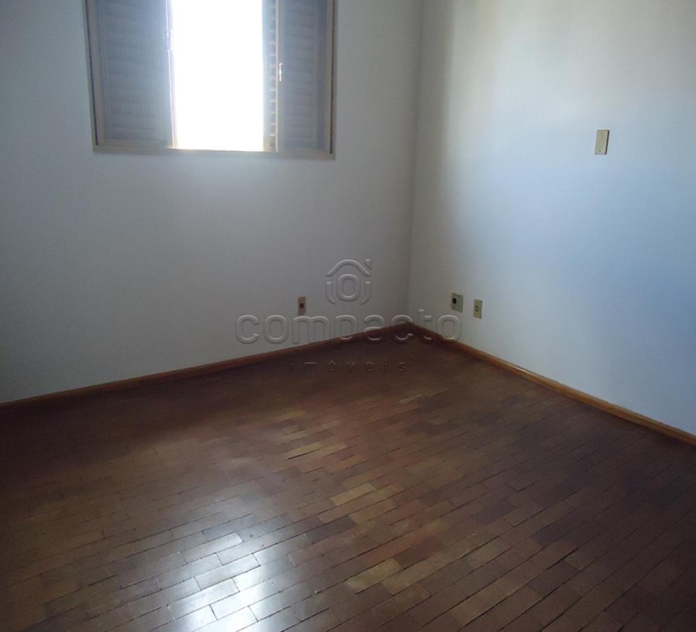 Alugar Apartamento / Padrão em São José do Rio Preto apenas R$ 700,00 - Foto 8 Alugar Apartamento / Padrão em São José do Rio Preto apenas R$ 700,00 - Foto 8