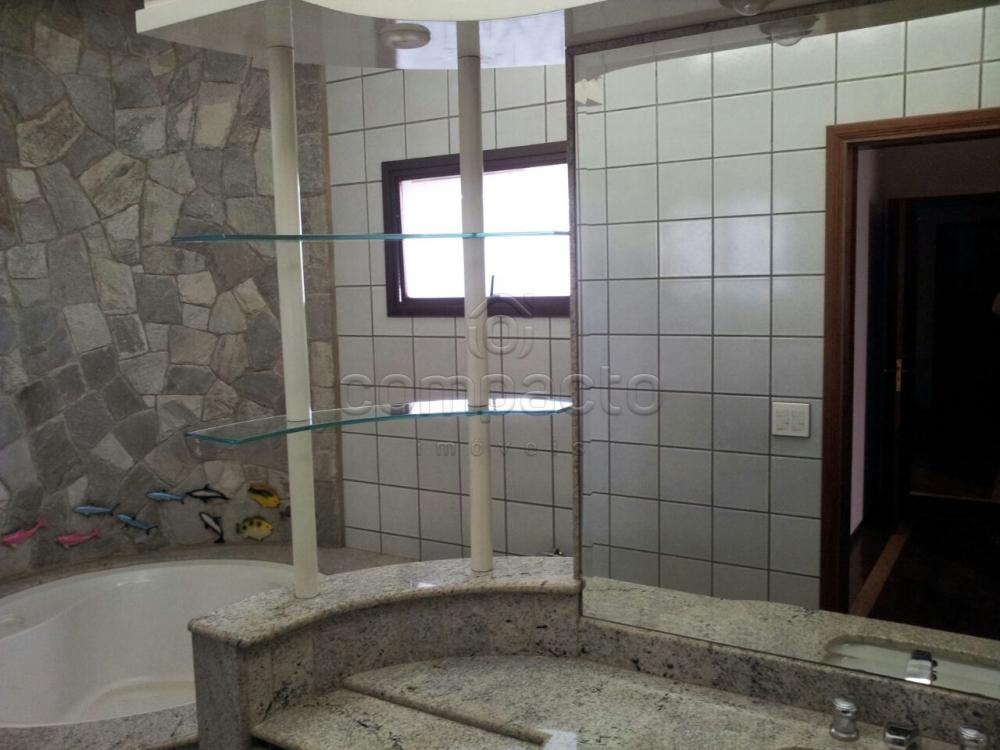 Alugar Casa / Condomínio em São José do Rio Preto apenas R$ 6.000,00 - Foto 10 Alugar Casa / Condomínio em São José do Rio Preto apenas R$ 6.000,00 - Foto 10