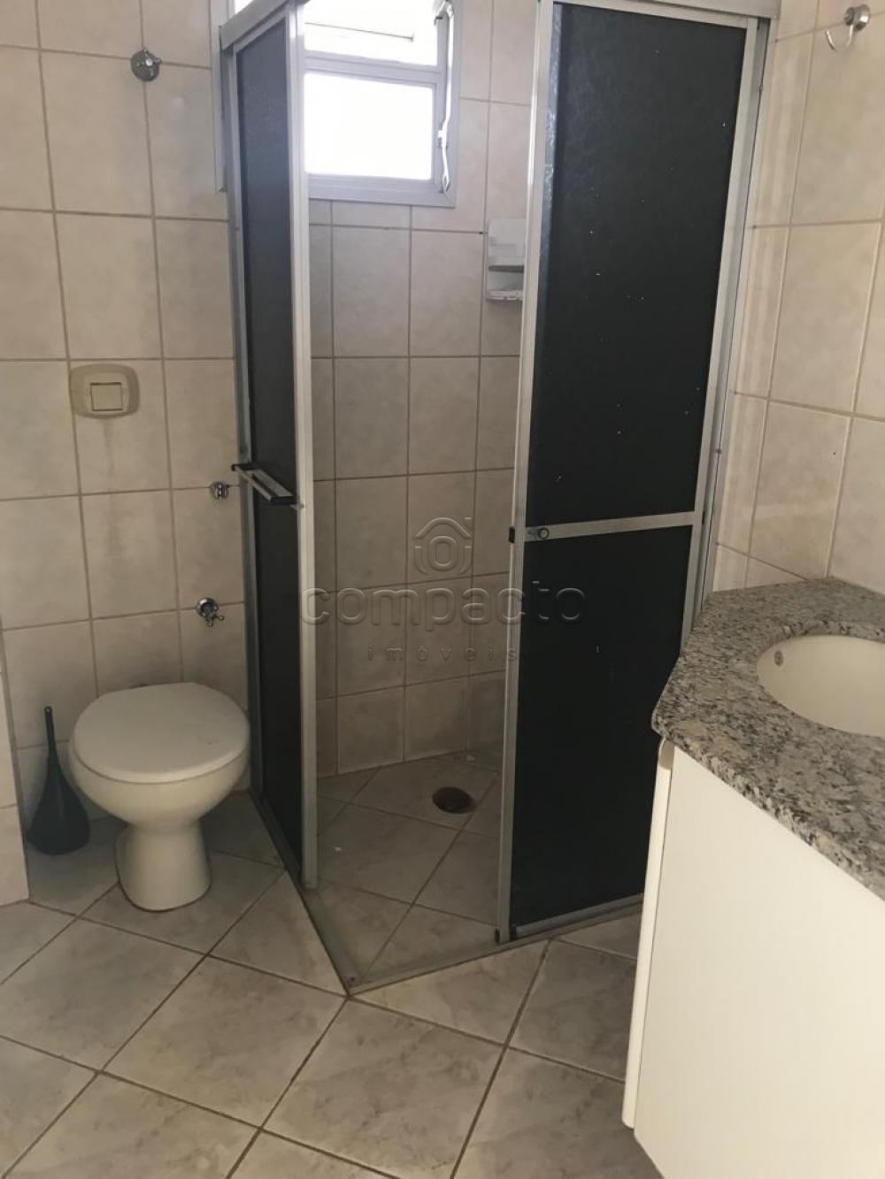 Alugar Apartamento / Padrão em São José do Rio Preto apenas R$ 900,00 - Foto 3 Alugar Apartamento / Padrão em São José do Rio Preto apenas R$ 900,00 - Foto 3