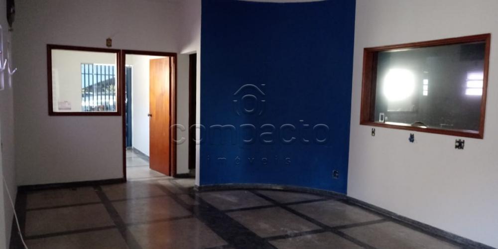 Alugar Comercial / Casa em São José do Rio Preto apenas R$ 4.500,00 - Foto 1 Alugar Comercial / Casa em São José do Rio Preto apenas R$ 4.500,00 - Foto 1