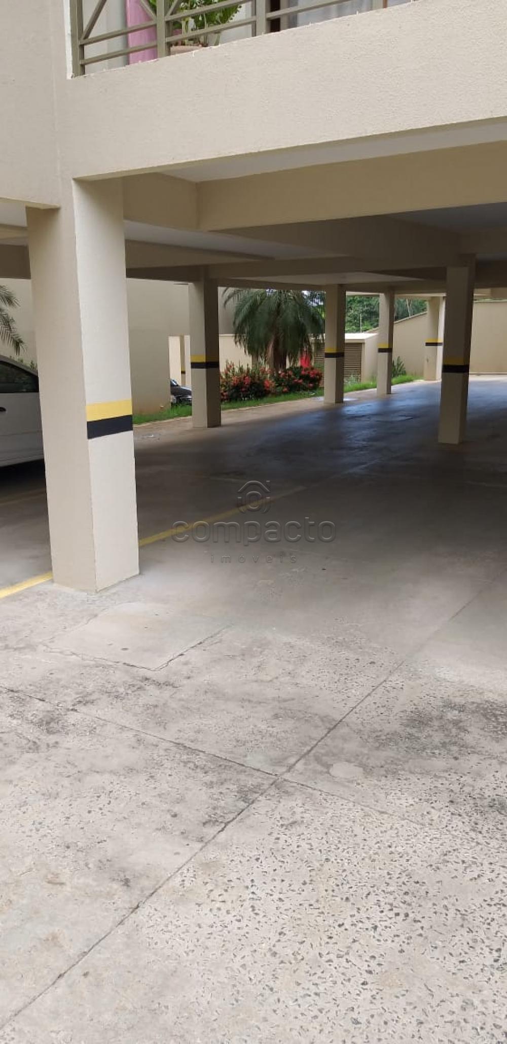 Alugar Apartamento / Padrão em São José do Rio Preto apenas R$ 1.250,00 - Foto 4 Alugar Apartamento / Padrão em São José do Rio Preto apenas R$ 1.250,00 - Foto 4