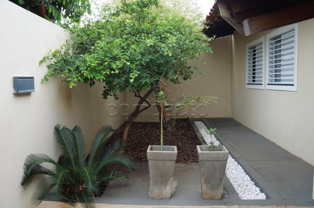 Comprar Casa / Padrão em São José do Rio Preto apenas R$ 570.000,00 - Foto 1 Comprar Casa / Padrão em São José do Rio Preto apenas R$ 570.000,00 - Foto 1
