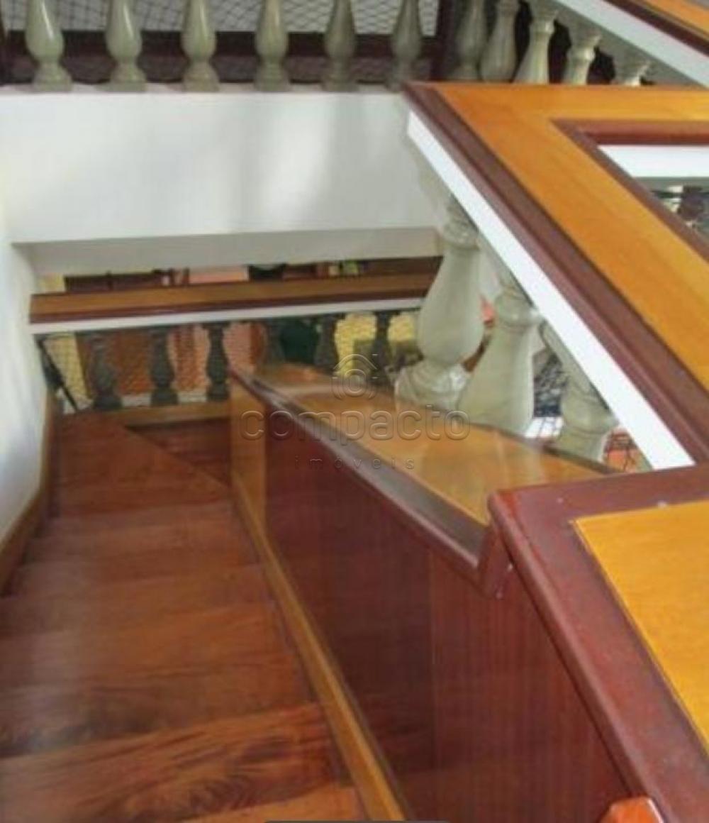 Alugar Casa / Sobrado em São José do Rio Preto apenas R$ 3.500,00 - Foto 7 Alugar Casa / Sobrado em São José do Rio Preto apenas R$ 3.500,00 - Foto 7