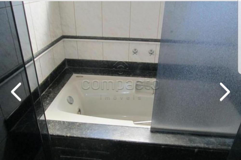 Alugar Casa / Sobrado em São José do Rio Preto apenas R$ 3.500,00 - Foto 10 Alugar Casa / Sobrado em São José do Rio Preto apenas R$ 3.500,00 - Foto 10