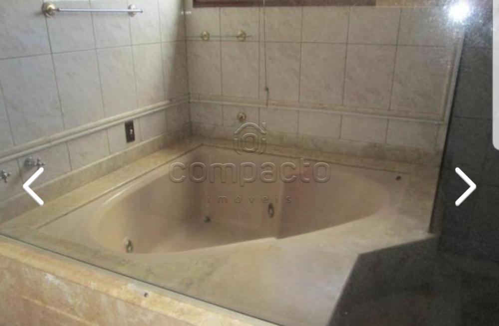 Alugar Casa / Sobrado em São José do Rio Preto apenas R$ 3.500,00 - Foto 11 Alugar Casa / Sobrado em São José do Rio Preto apenas R$ 3.500,00 - Foto 11