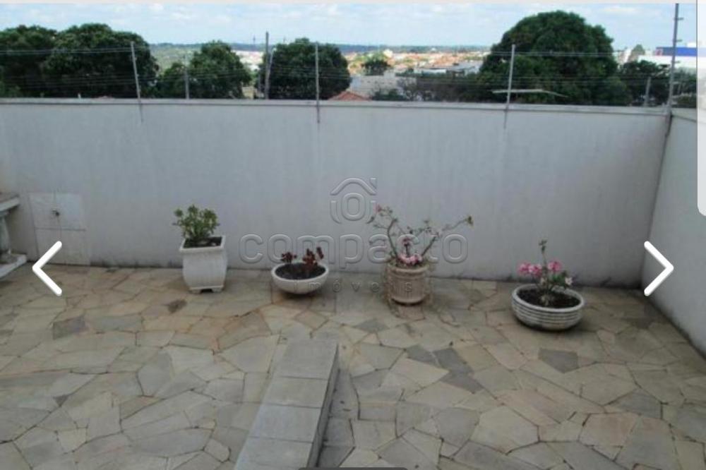 Alugar Casa / Sobrado em São José do Rio Preto apenas R$ 3.500,00 - Foto 12 Alugar Casa / Sobrado em São José do Rio Preto apenas R$ 3.500,00 - Foto 12