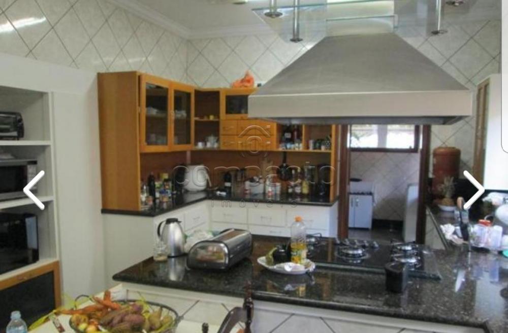 Alugar Casa / Sobrado em São José do Rio Preto apenas R$ 3.500,00 - Foto 13 Alugar Casa / Sobrado em São José do Rio Preto apenas R$ 3.500,00 - Foto 13