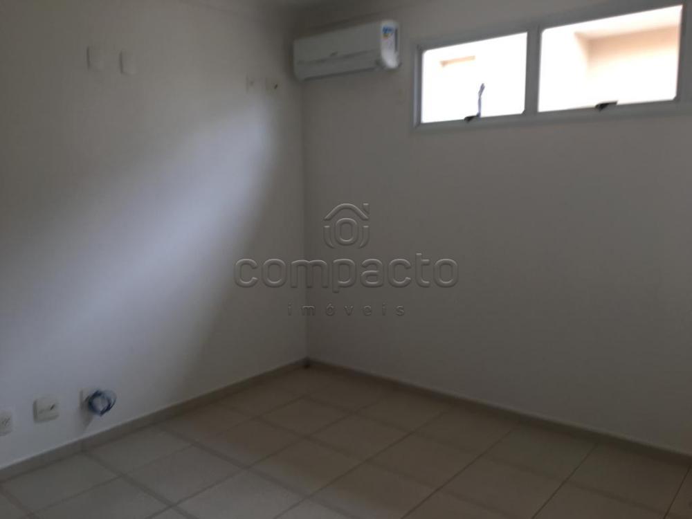 Alugar Casa / Condomínio em São José do Rio Preto apenas R$ 3.600,00 - Foto 4 Alugar Casa / Condomínio em São José do Rio Preto apenas R$ 3.600,00 - Foto 4