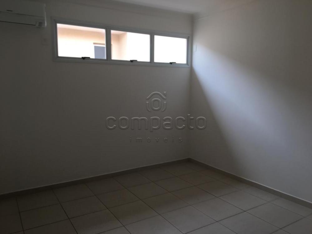 Alugar Casa / Condomínio em São José do Rio Preto apenas R$ 3.600,00 - Foto 5 Alugar Casa / Condomínio em São José do Rio Preto apenas R$ 3.600,00 - Foto 5