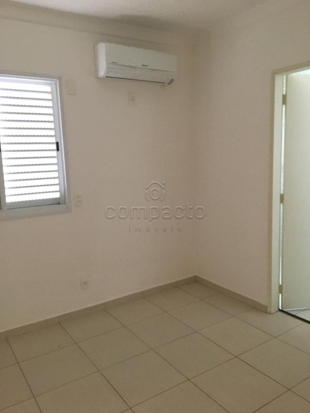 Alugar Casa / Condomínio em São José do Rio Preto apenas R$ 3.600,00 - Foto 12 Alugar Casa / Condomínio em São José do Rio Preto apenas R$ 3.600,00 - Foto 12