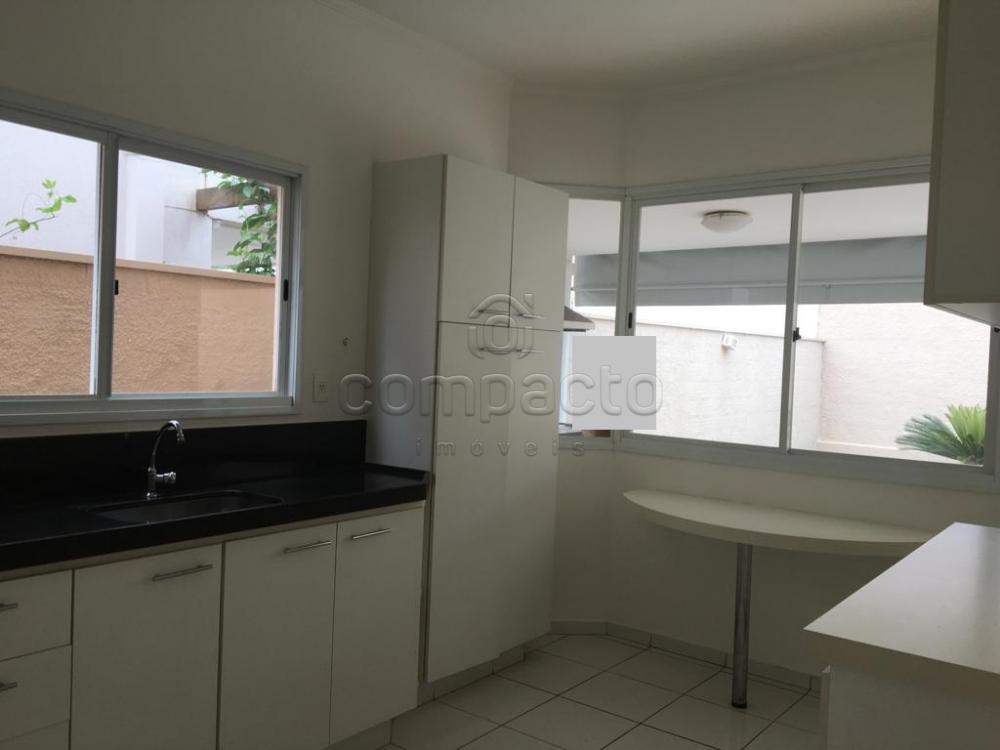 Alugar Casa / Condomínio em São José do Rio Preto apenas R$ 3.600,00 - Foto 18 Alugar Casa / Condomínio em São José do Rio Preto apenas R$ 3.600,00 - Foto 18