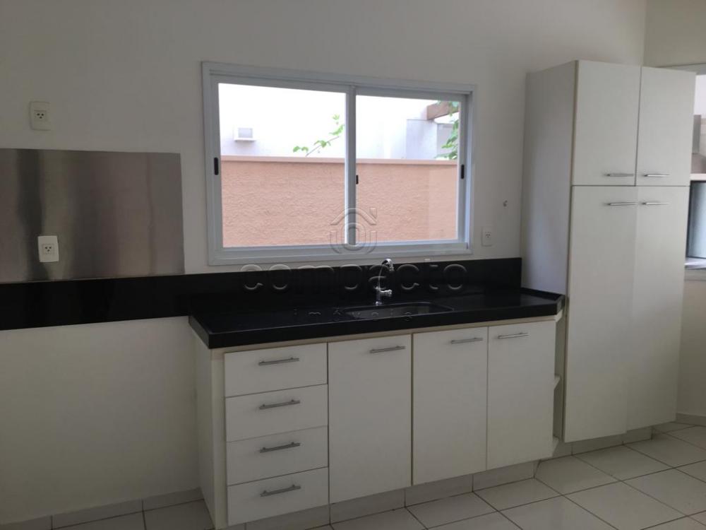 Alugar Casa / Condomínio em São José do Rio Preto apenas R$ 3.600,00 - Foto 19 Alugar Casa / Condomínio em São José do Rio Preto apenas R$ 3.600,00 - Foto 19