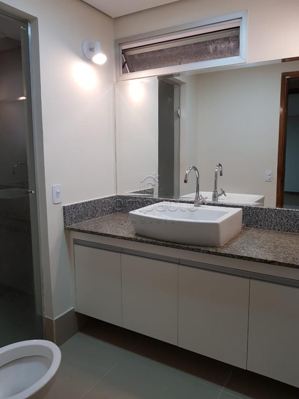 Alugar Apartamento / Padrão em São José do Rio Preto apenas R$ 1.300,00 - Foto 10 Alugar Apartamento / Padrão em São José do Rio Preto apenas R$ 1.300,00 - Foto 10