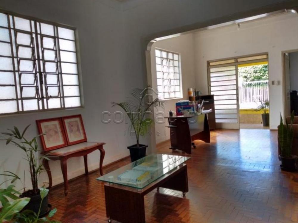 Comprar Comercial / Casa em São José do Rio Preto apenas R$ 450.000,00 - Foto 3 Comprar Comercial / Casa em São José do Rio Preto apenas R$ 450.000,00 - Foto 3