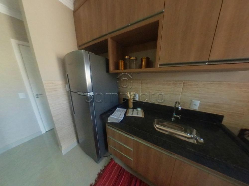 Alugar Apartamento / Padrão em São José do Rio Preto apenas R$ 1.100,00 - Foto 3 Alugar Apartamento / Padrão em São José do Rio Preto apenas R$ 1.100,00 - Foto 3
