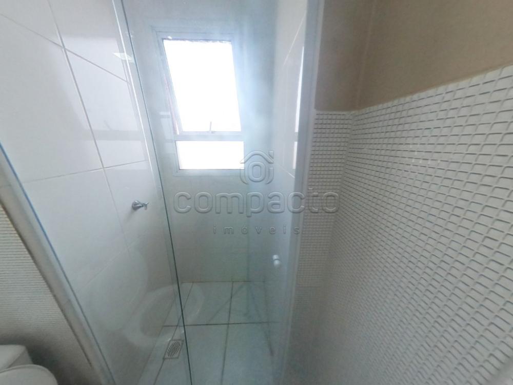 Alugar Apartamento / Padrão em São José do Rio Preto apenas R$ 1.100,00 - Foto 14 Alugar Apartamento / Padrão em São José do Rio Preto apenas R$ 1.100,00 - Foto 14