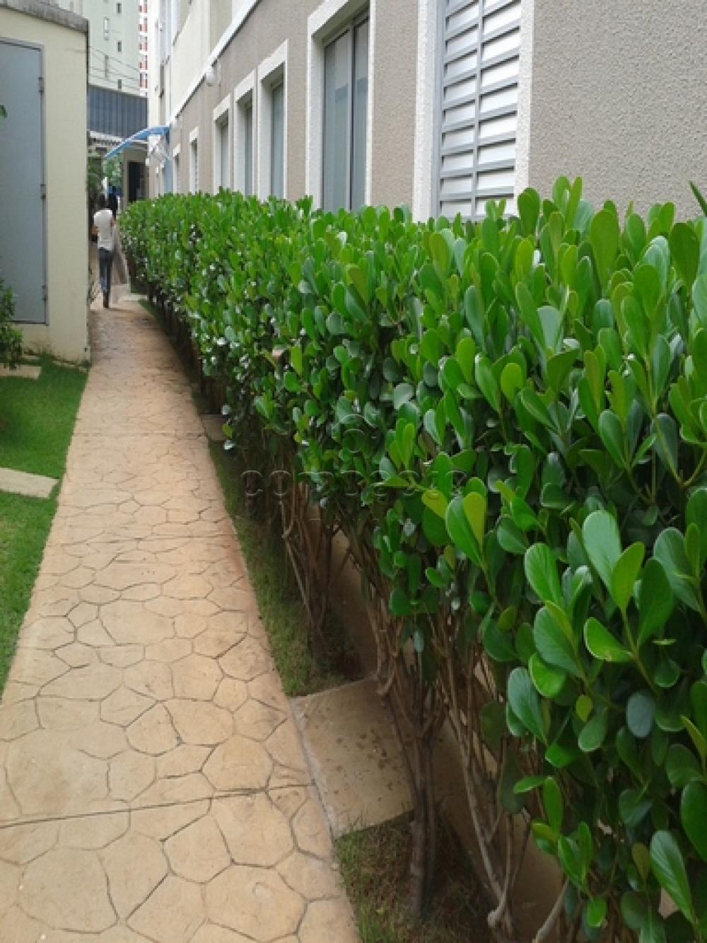 Alugar Apartamento / Padrão em São Carlos apenas R$ 1.060,00 - Foto 1 Alugar Apartamento / Padrão em São Carlos apenas R$ 1.060,00 - Foto 1