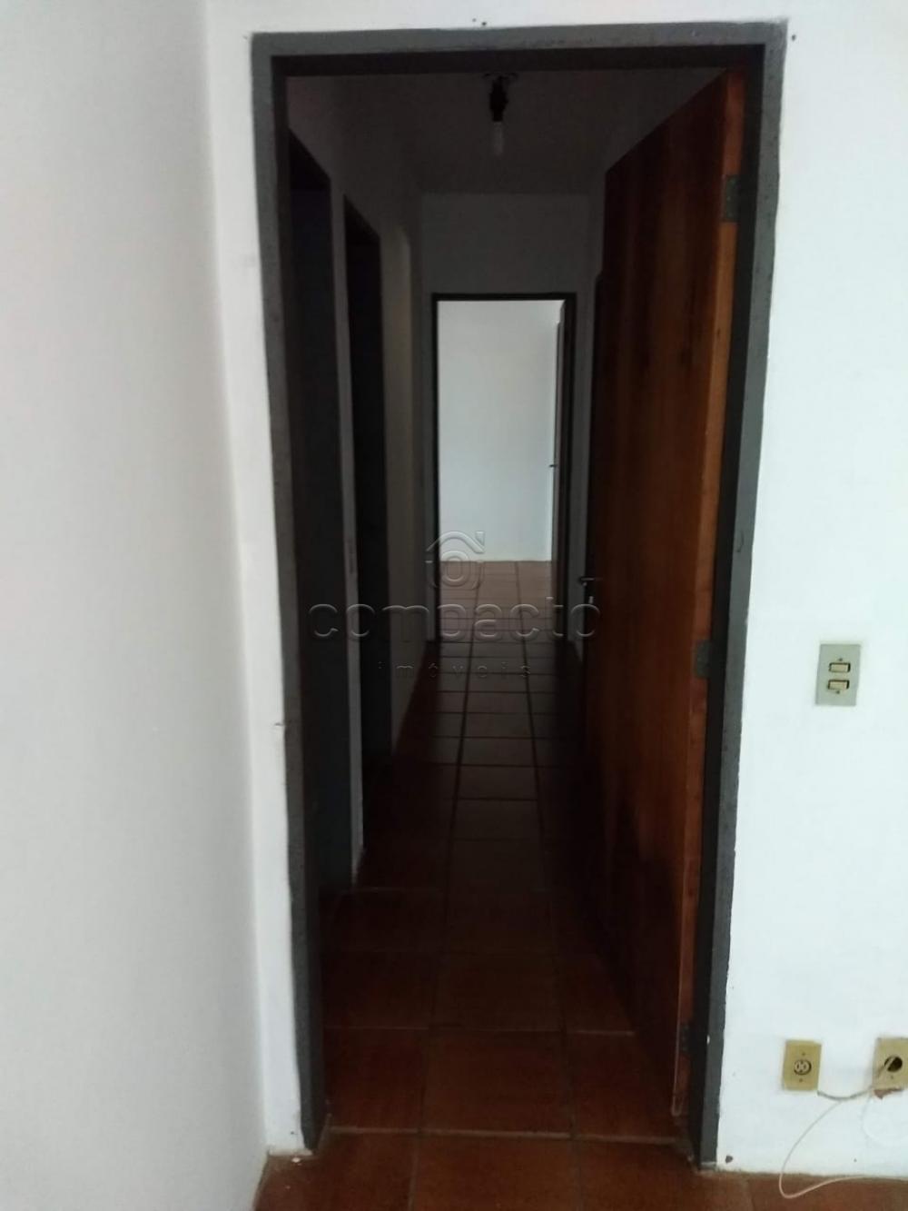 Alugar Apartamento / Duplex em São José do Rio Preto apenas R$ 1.350,00 - Foto 3 Alugar Apartamento / Duplex em São José do Rio Preto apenas R$ 1.350,00 - Foto 3