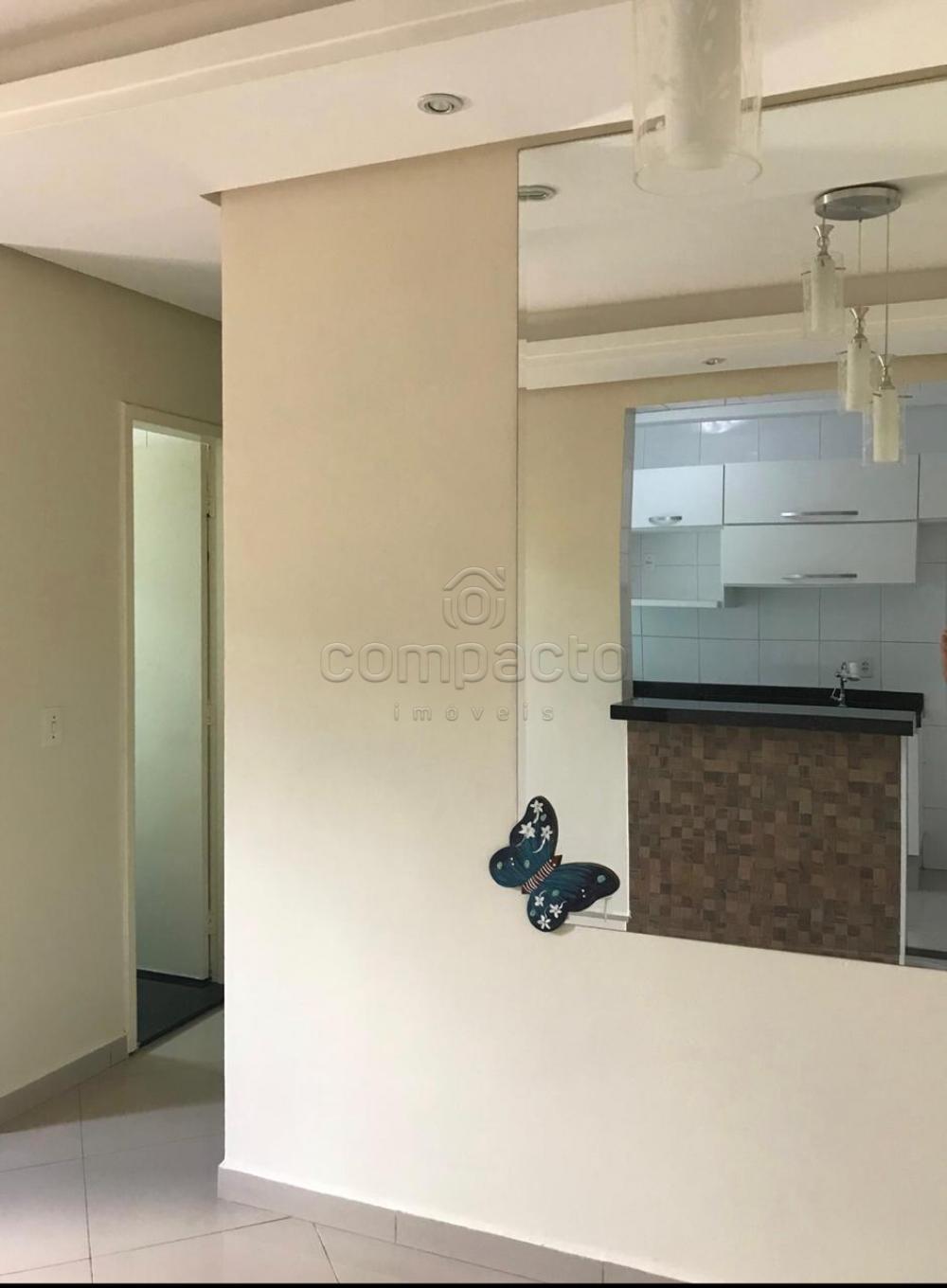 Comprar Apartamento / Padrão em São José do Rio Preto apenas R$ 287.300,00 - Foto 1 Comprar Apartamento / Padrão em São José do Rio Preto apenas R$ 287.300,00 - Foto 1