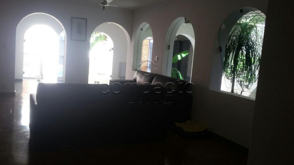 Comprar Casa / Padrão em São José do Rio Preto apenas R$ 595.000,00 - Foto 4 Comprar Casa / Padrão em São José do Rio Preto apenas R$ 595.000,00 - Foto 4