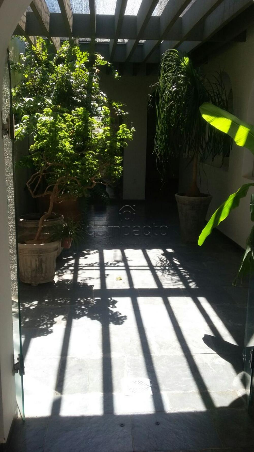 Comprar Casa / Padrão em São José do Rio Preto apenas R$ 595.000,00 - Foto 18 Comprar Casa / Padrão em São José do Rio Preto apenas R$ 595.000,00 - Foto 18