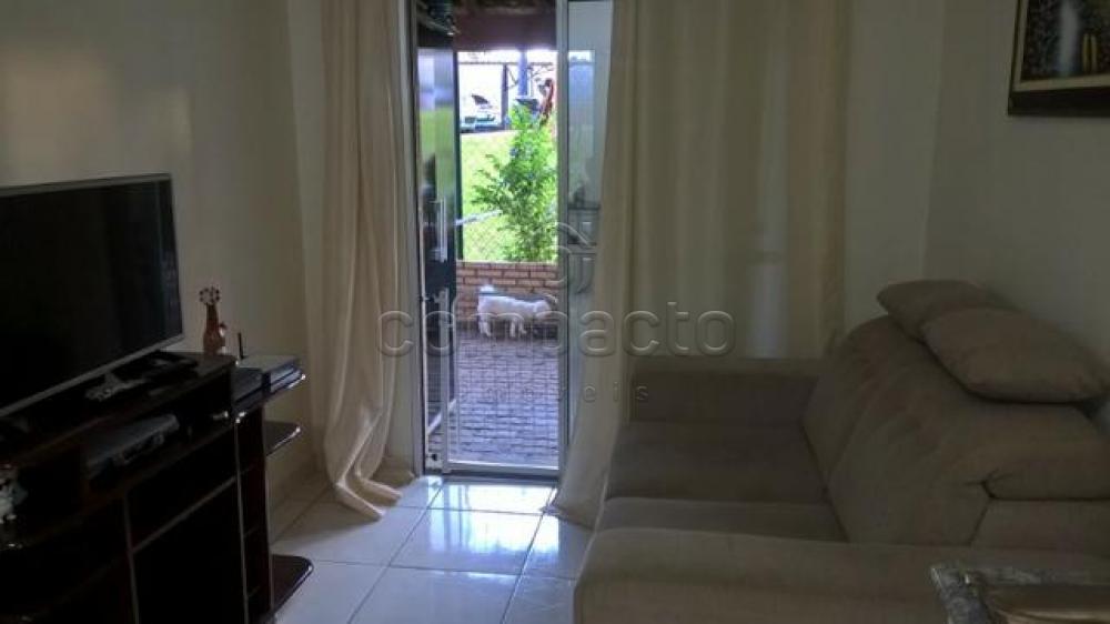 Comprar Apartamento / Padrão em São José do Rio Preto apenas R$ 180.000,00 - Foto 1 Comprar Apartamento / Padrão em São José do Rio Preto apenas R$ 180.000,00 - Foto 1