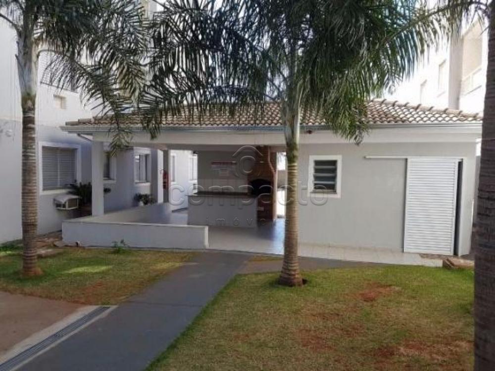 Comprar Apartamento / Cobertura em São José do Rio Preto apenas R$ 320.000,00 - Foto 14 Comprar Apartamento / Cobertura em São José do Rio Preto apenas R$ 320.000,00 - Foto 14