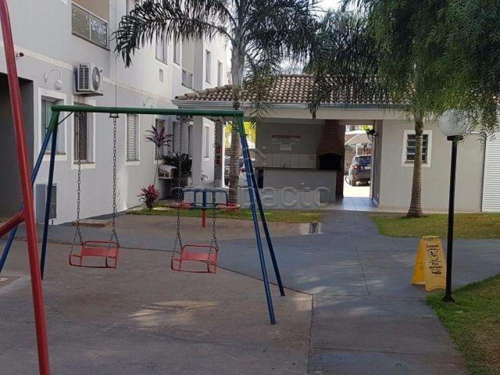 Comprar Apartamento / Cobertura em São José do Rio Preto apenas R$ 320.000,00 - Foto 15 Comprar Apartamento / Cobertura em São José do Rio Preto apenas R$ 320.000,00 - Foto 15