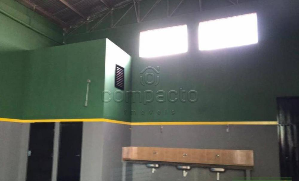 Alugar Comercial / Barracão em São José do Rio Preto apenas R$ 3.200,00 - Foto 2 Alugar Comercial / Barracão em São José do Rio Preto apenas R$ 3.200,00 - Foto 2
