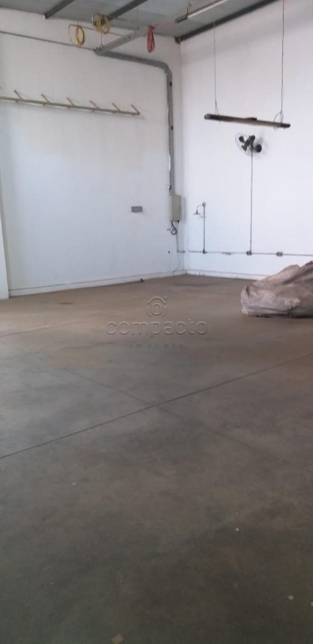 Alugar Comercial / Barracão em São José do Rio Preto apenas R$ 2.300,00 - Foto 5 Alugar Comercial / Barracão em São José do Rio Preto apenas R$ 2.300,00 - Foto 5