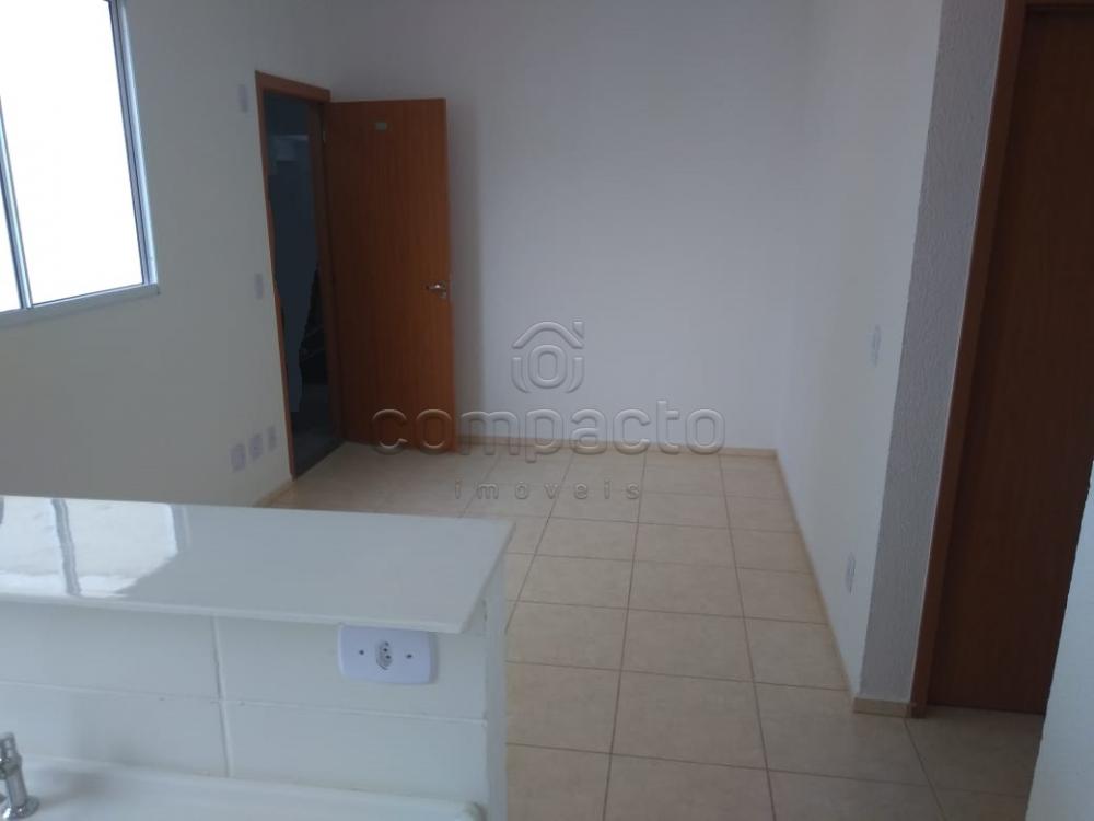 Alugar Apartamento / Padrão em São José do Rio Preto apenas R$ 500,00 - Foto 1 Alugar Apartamento / Padrão em São José do Rio Preto apenas R$ 500,00 - Foto 1