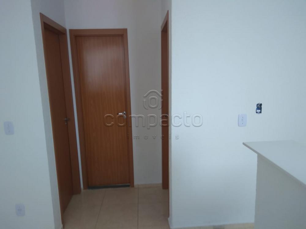 Alugar Apartamento / Padrão em São José do Rio Preto apenas R$ 500,00 - Foto 3 Alugar Apartamento / Padrão em São José do Rio Preto apenas R$ 500,00 - Foto 3