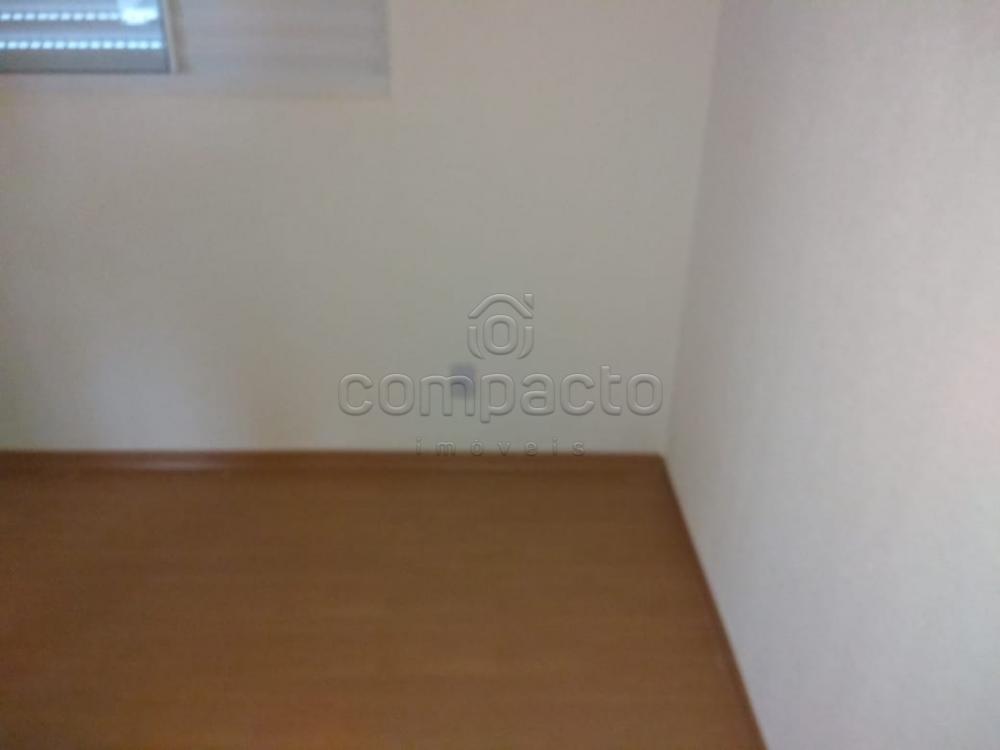Alugar Apartamento / Padrão em São José do Rio Preto apenas R$ 500,00 - Foto 4 Alugar Apartamento / Padrão em São José do Rio Preto apenas R$ 500,00 - Foto 4