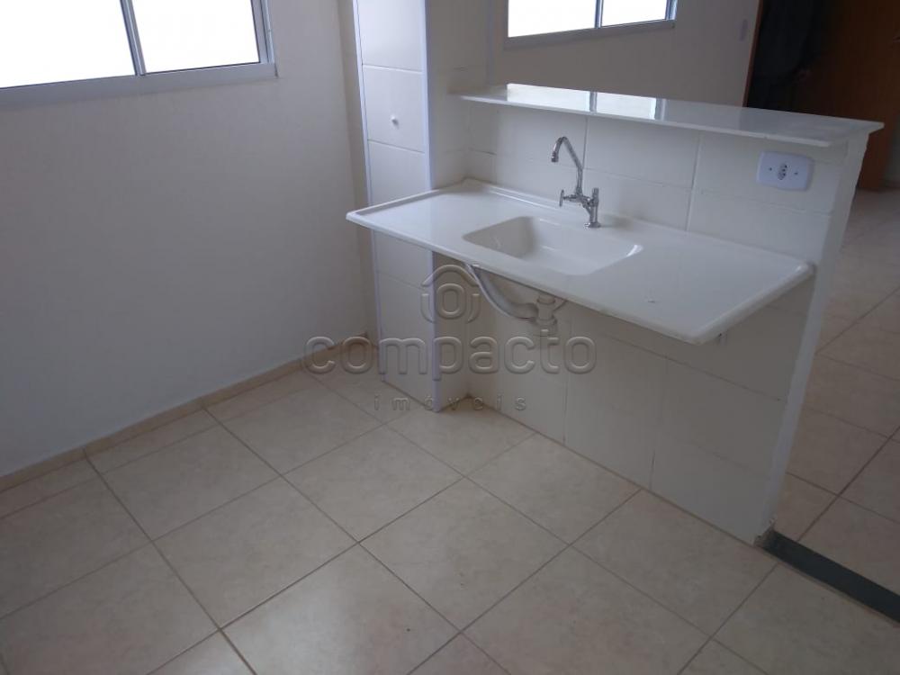Alugar Apartamento / Padrão em São José do Rio Preto apenas R$ 500,00 - Foto 6 Alugar Apartamento / Padrão em São José do Rio Preto apenas R$ 500,00 - Foto 6