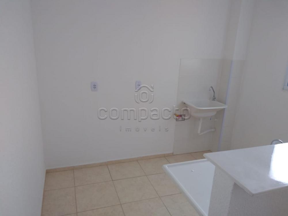 Alugar Apartamento / Padrão em São José do Rio Preto apenas R$ 500,00 - Foto 7 Alugar Apartamento / Padrão em São José do Rio Preto apenas R$ 500,00 - Foto 7